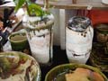DSC01282