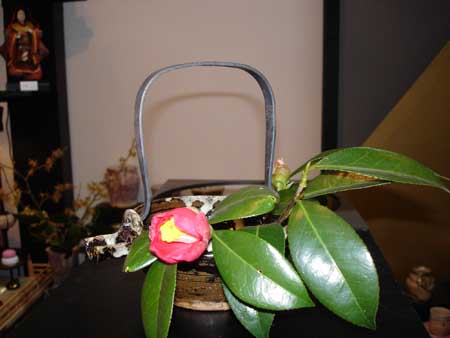 DSC00146